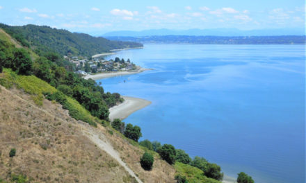 Quartermaster Harbor – Hidden Trails and New Docks