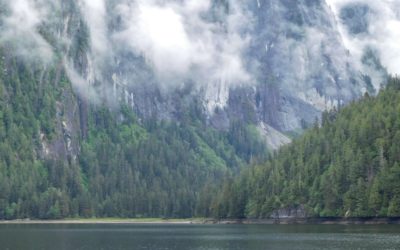 Natures Cathedral – Misty Fjords National Monument