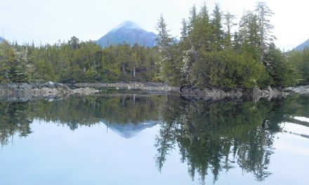 A Wild, Remote World on Campania Island