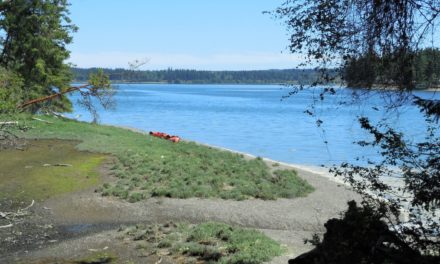 Rediscovering Oro Bay on Anderson Island