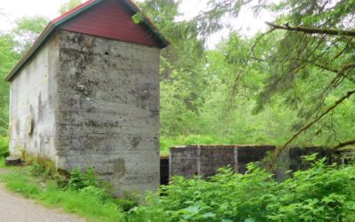 Treadwell Mine Ruins on Douglas Island – A Trek Thru History