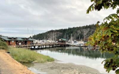 Deer Harbor – Relaxed Atmosphere with Great Food