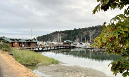Deer Harbor – Relaxed Atmosphere with Great Food