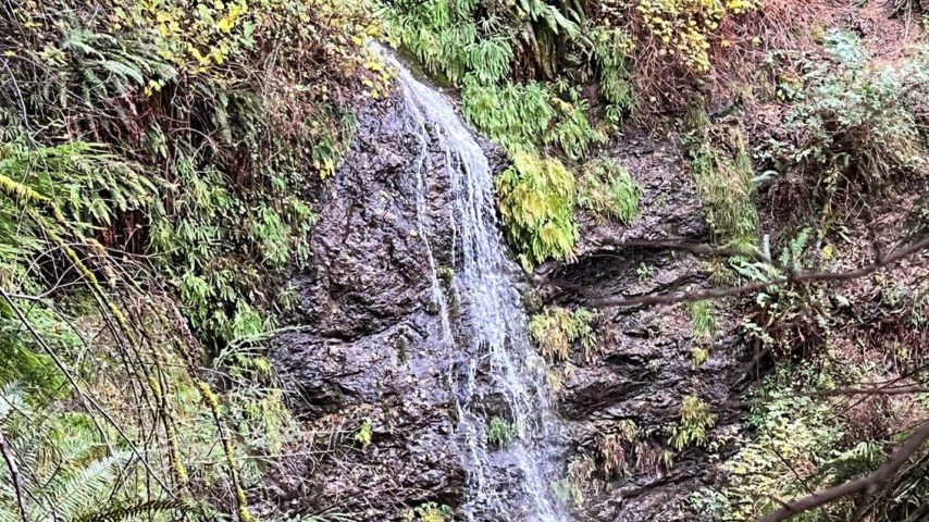 Season waterfall in Keel Preserve cascading 50 feet down a rock face