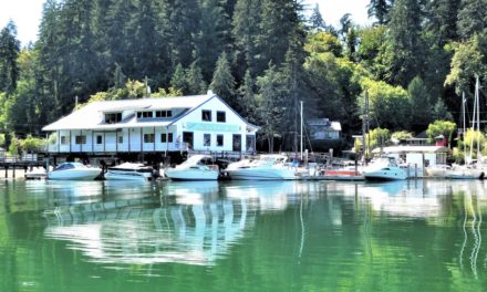 Purchase of Lakebay Marina in Mayo Cove is Official