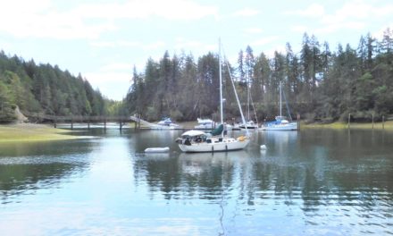Washington State Parks Mooring Buoy Fee Payment