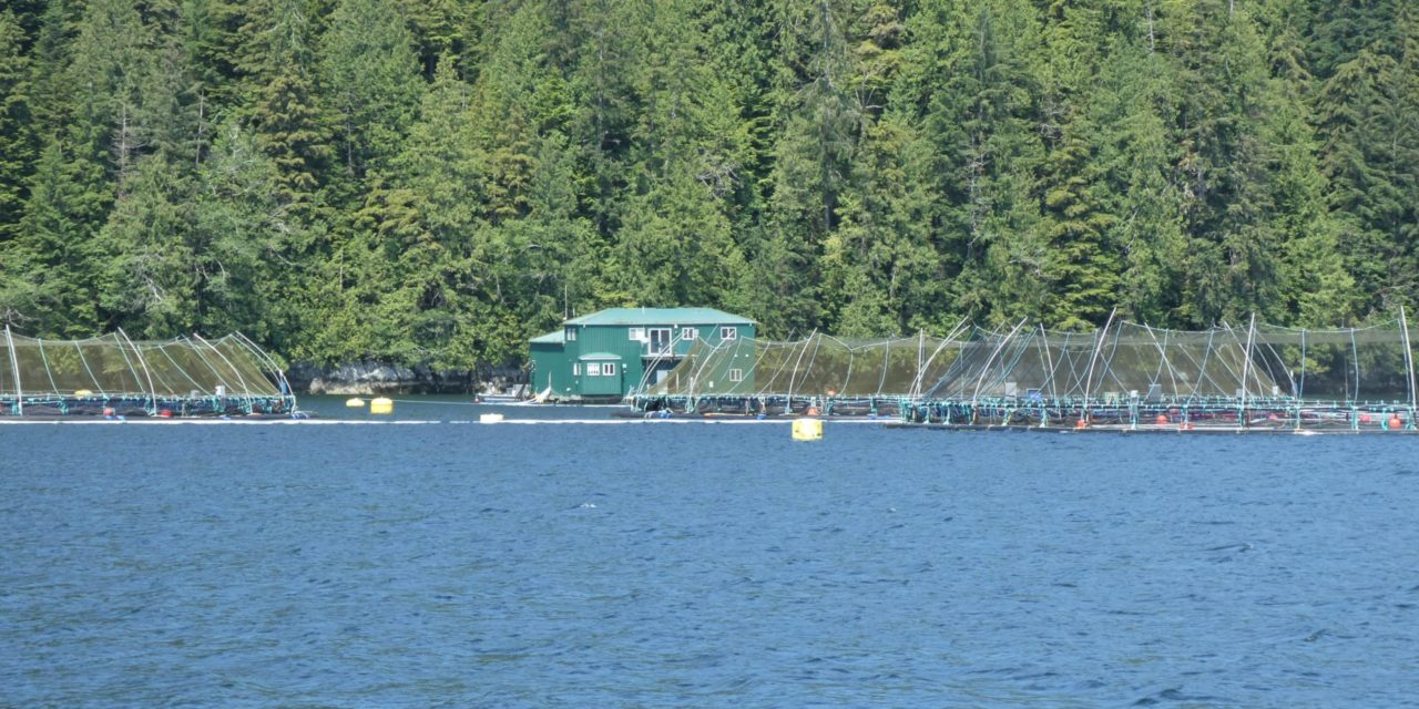 Fish Farms Being Phased Out – Discovery Islands