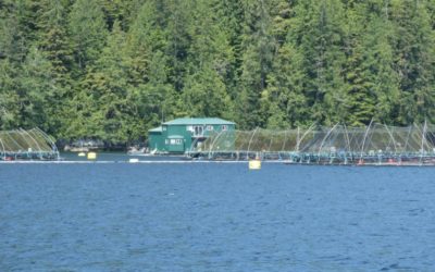 Fish Farms Being Phased Out – Discovery Islands