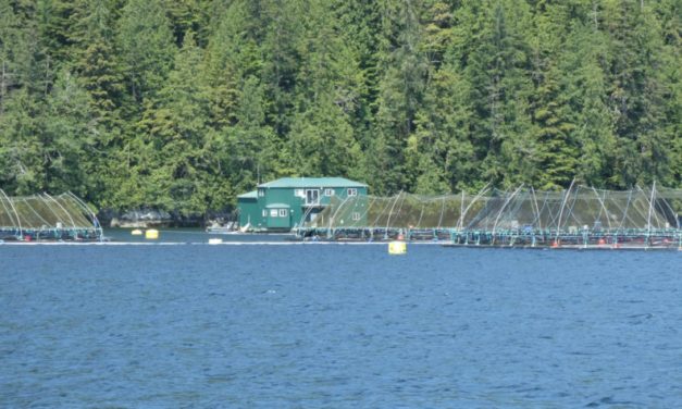 Fish Farms Being Phased Out – Discovery Islands