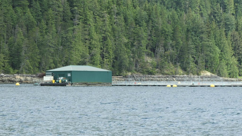 Photo of green fish farm building and fish pens