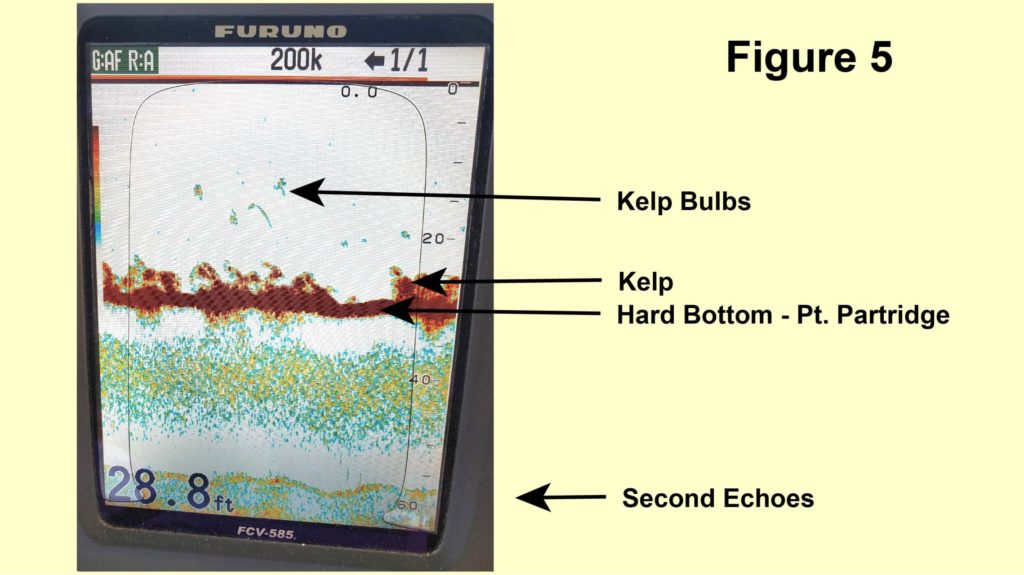 Screen showing kelp on hard bottom, kelp bulb images above the bottom and second echoes