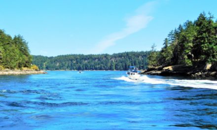 Dodd Narrows  – When Not To Make a Securité Call