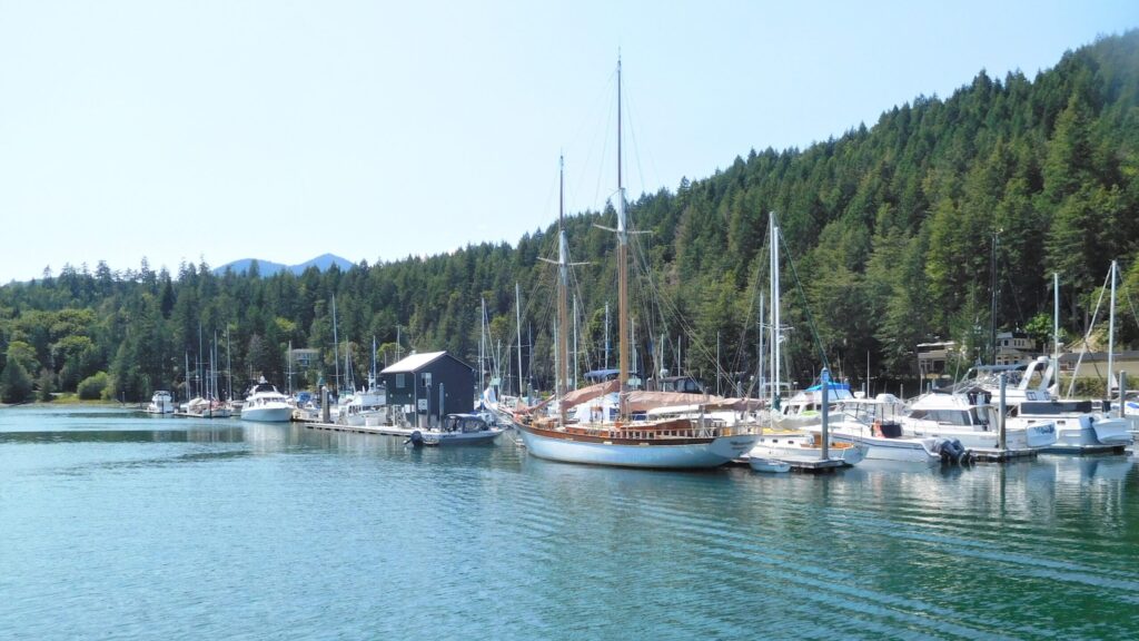 Photo of docks at Pleasant Harbor, Hood Canal