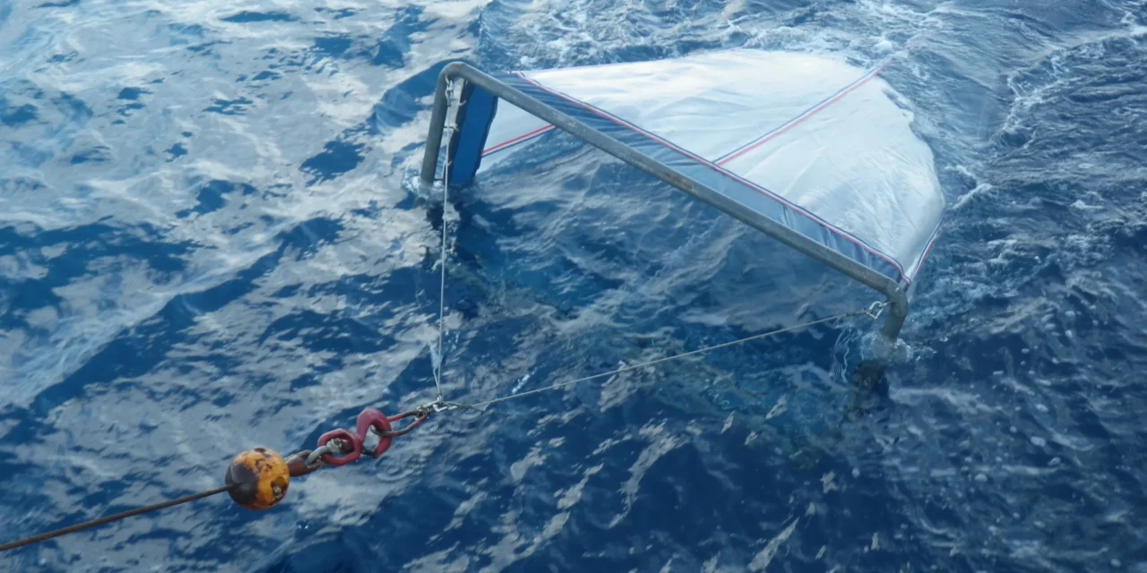 Neuston Nets – Citizen Science