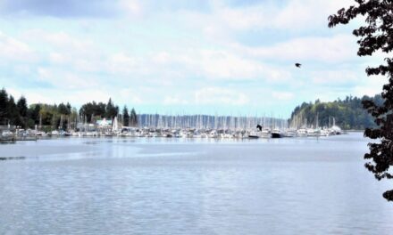 Molo Moorage Reservation System – Latest Trend in the NW