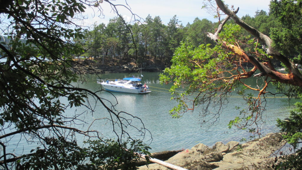Photo of sailboat anchored and stern-tied in Conover Cove