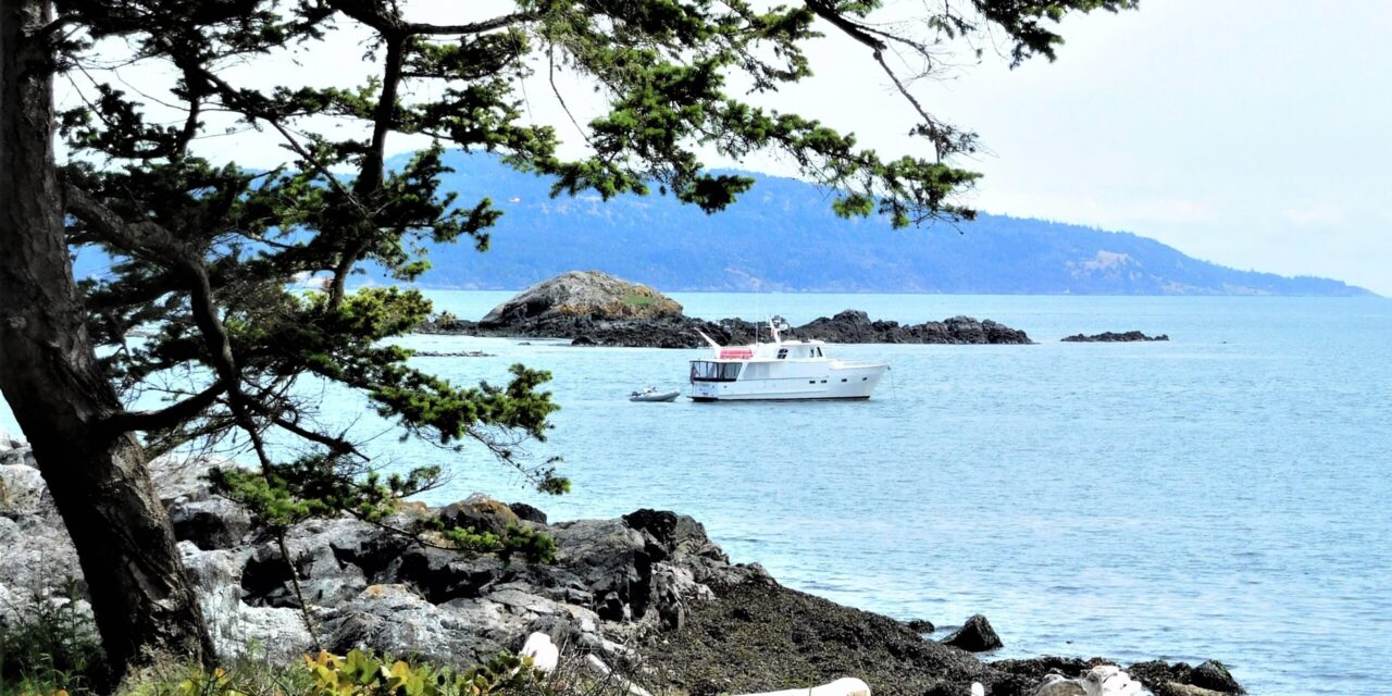 New Mooring Buoys at D’Arcy Island