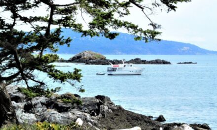 New Mooring Buoys at D’Arcy Island