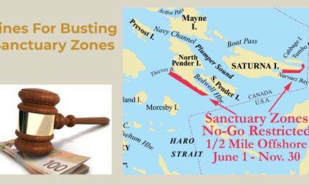 Fines From Transport Canada – What to Do?