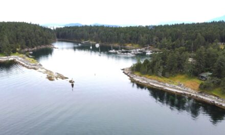 De Courcy and Valdes – The Mystic Islands