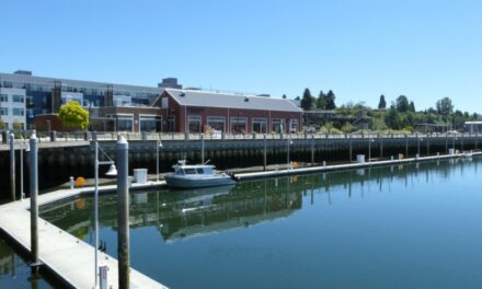 Pies, Coffee Shops, and Breweries – Everett Marina’s Latest Eateries