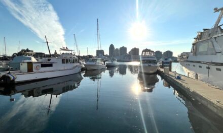 Village Marina Guest Moorage in Victoria, BC