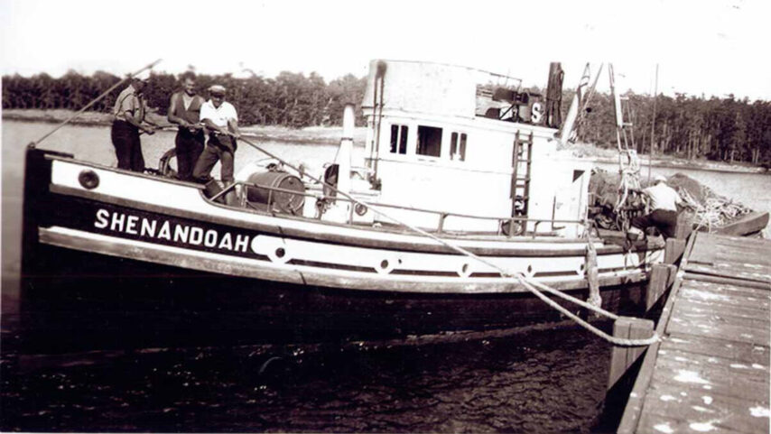 Archive photo of the Shenandoah at dock unloading their catch