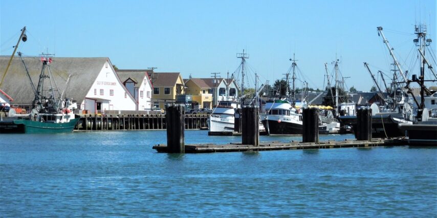Photo of commercial fish boats at Steveston BC