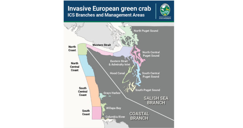 Map of green crab Management Areas in Washington State