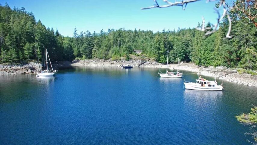 Boats stern tied at Hardy Island