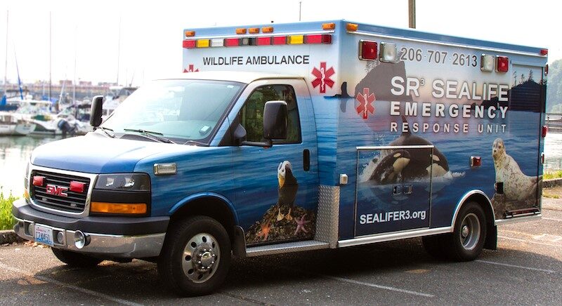 Photo of Wildlife Ambulance truck for SR3