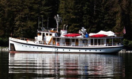 Classic Vessels on Display at Bell Harbor Marina
