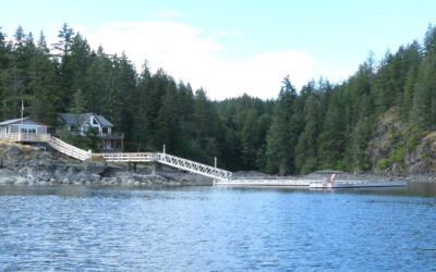 A Delightful Find in Gowlland Harbour