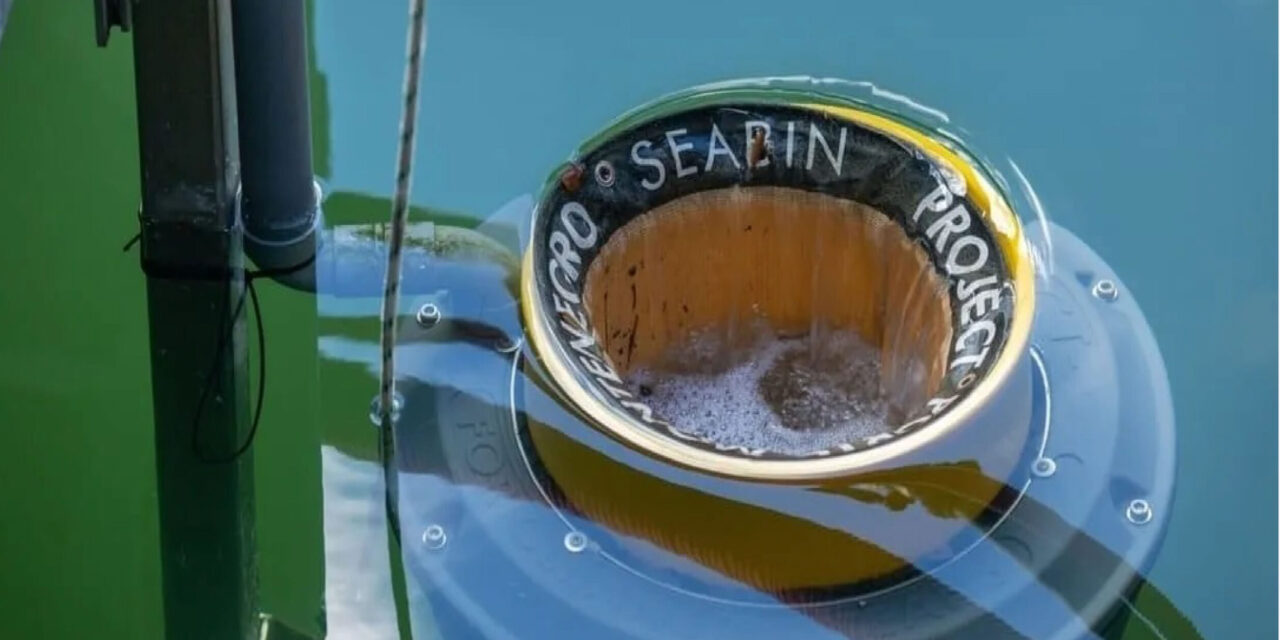 Seabins Installed in Victoria Harbour