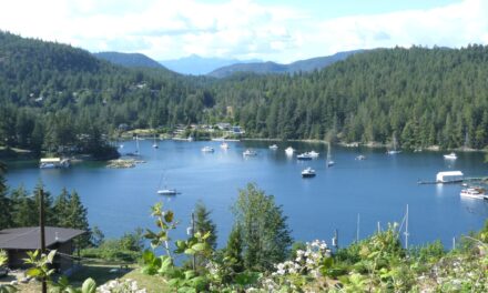 Dock Management Plan – Sunshine Coast