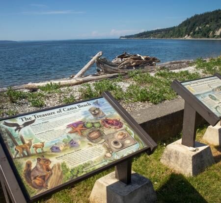 Signage at Cama Beach describing wildlife and sealife