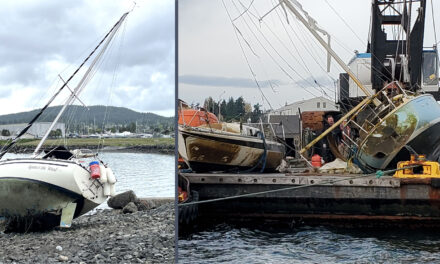 Fall-Winter Anchoring