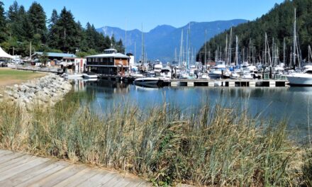 Union Steamship Marina, a Family Endeavor