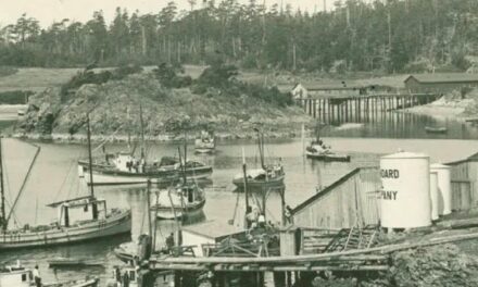 What’s In a Name? – Mackaye Harbor