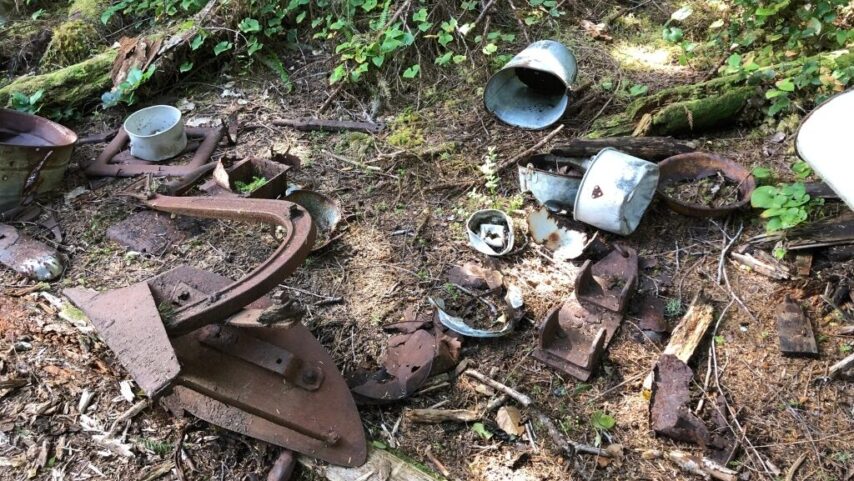 Photo of scattered pots and pans on the forest floor