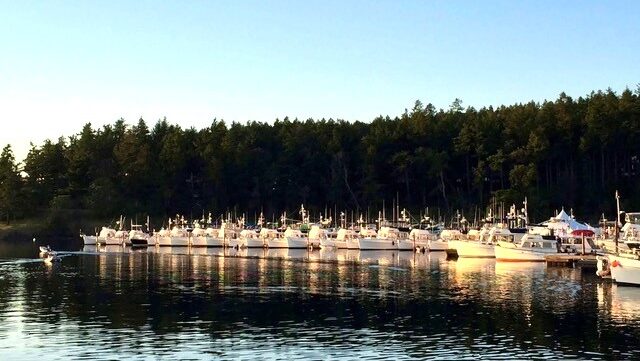 Group of Grand Banks boats at Roche Harbor, WA