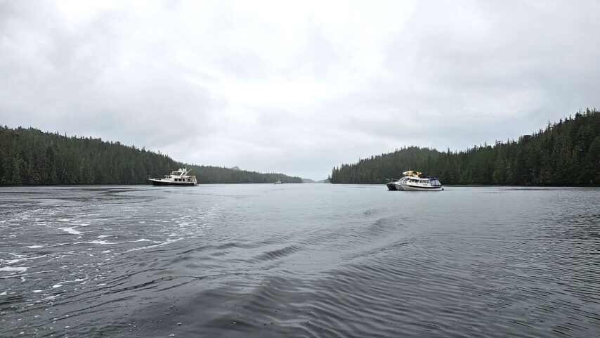 Boats anchored in Allison Harbour