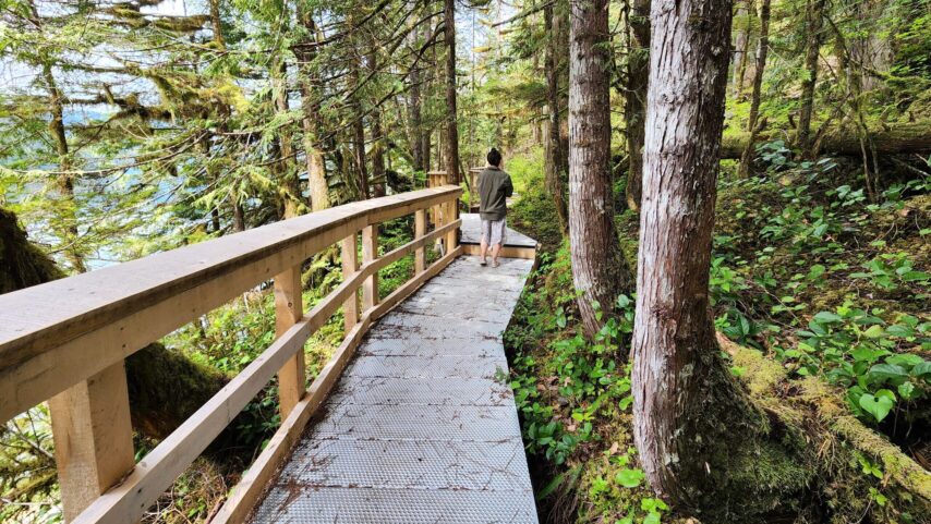 Boardwalk to the hotsprings at Bishop Bay