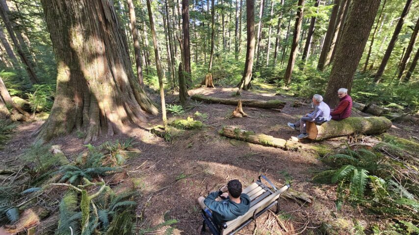 Flotilla group hiking the forest trail