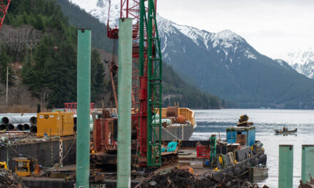 Haulout Development Comes to Sitka