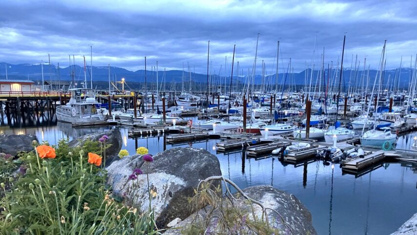 Photo of docks at Comox, BC with flowers in foreground
