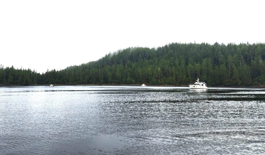 Flotilla boats anchored in Rescue Bay