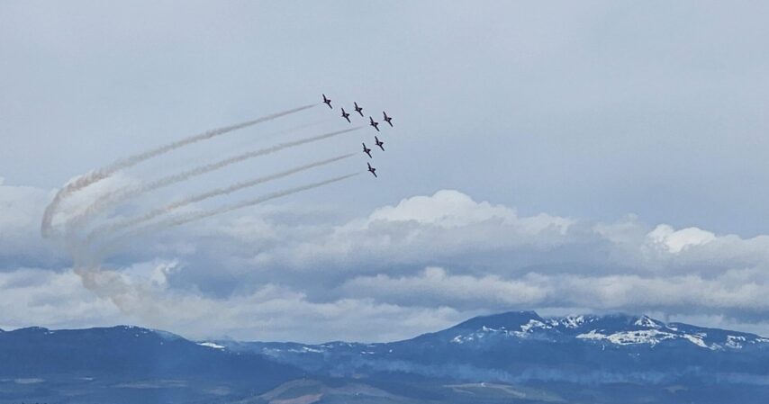 Snow Birds in flight, snow capped mountains in background