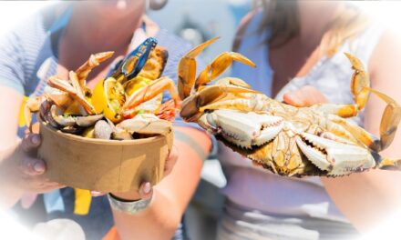 CrabFest in Victoria – Sunday, June 29