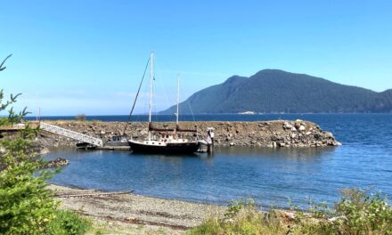 Help Save Vendovi Island Access